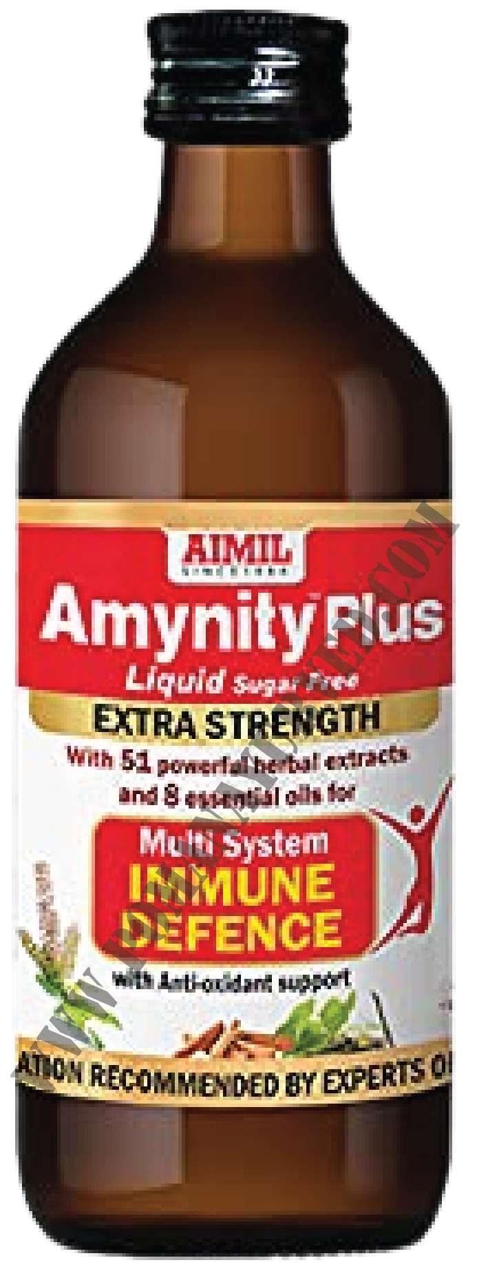 Picture of Amynity Plus Syrup