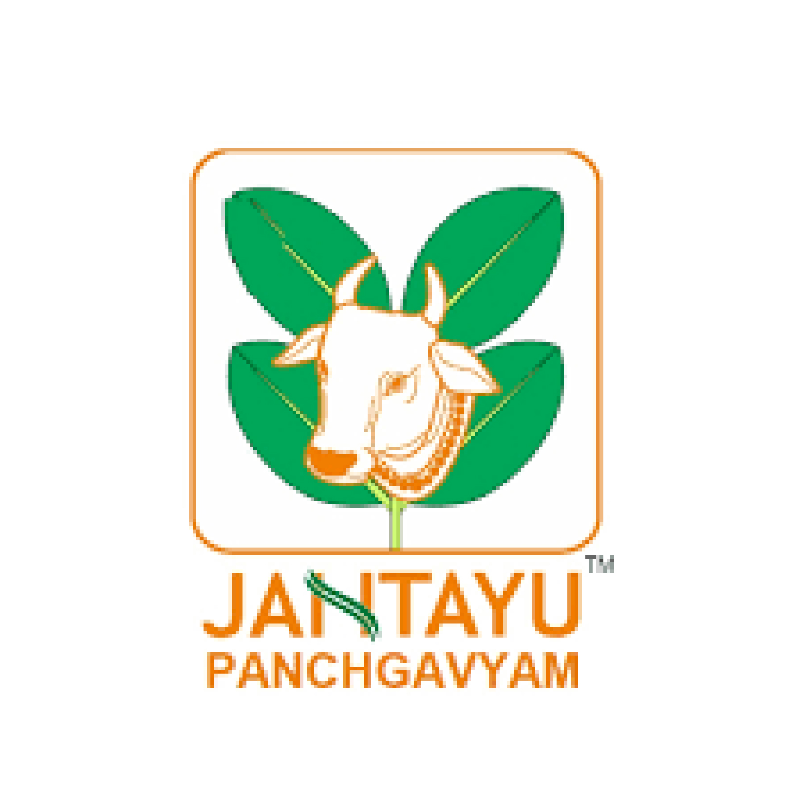 Picture for manufacturer JANTAYU PANCHAGAVYA